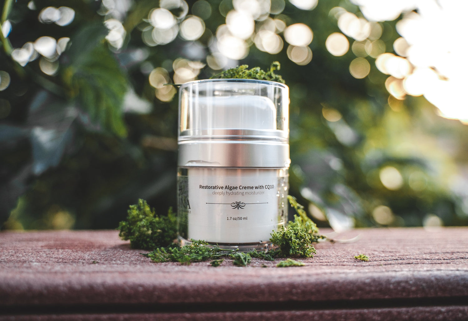 Best moisturizer online Spalina Skincare