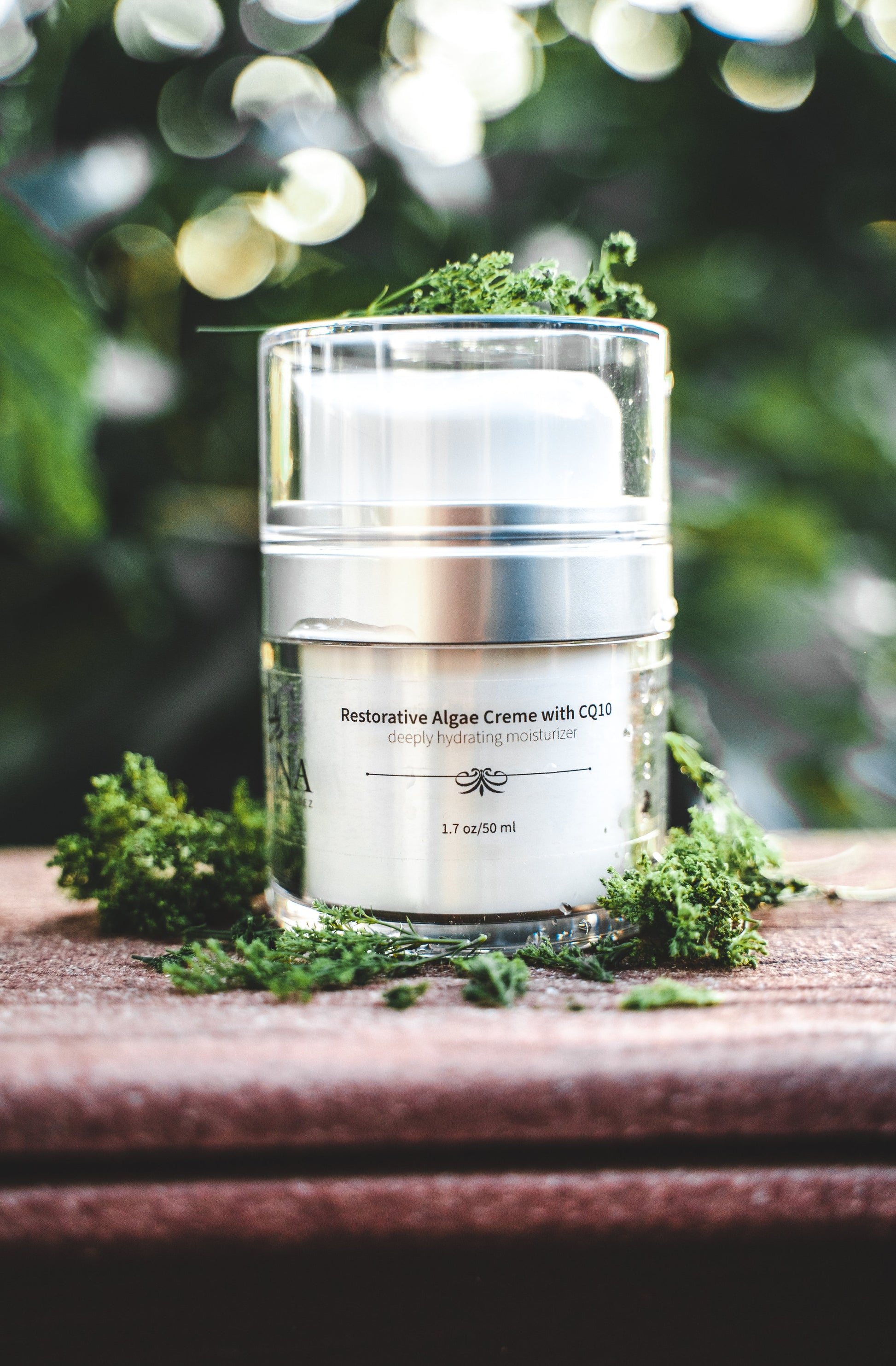 Restorative Algea Creme with CQ10